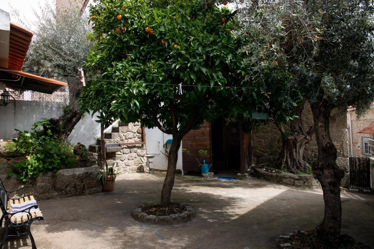 Willa Casa Do Guardado Monsanto Zewnętrze zdjęcie